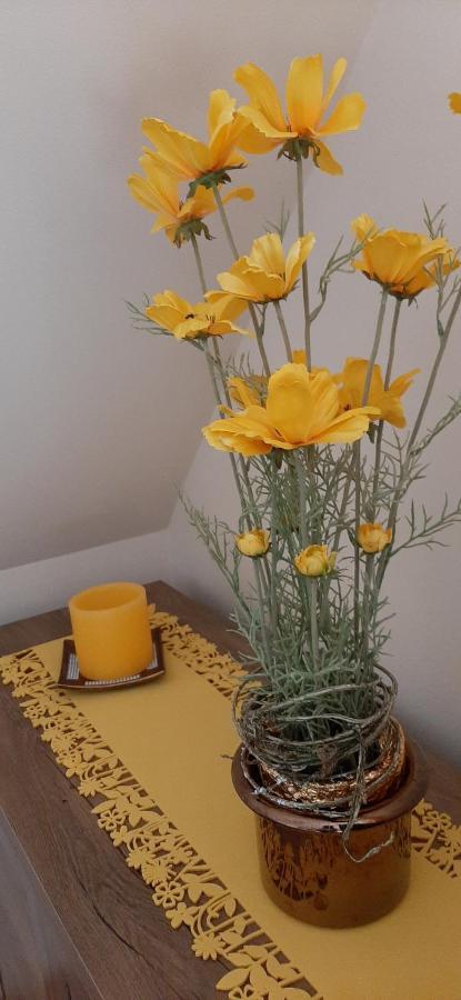 Napko Apartman Sopron Luaran gambar